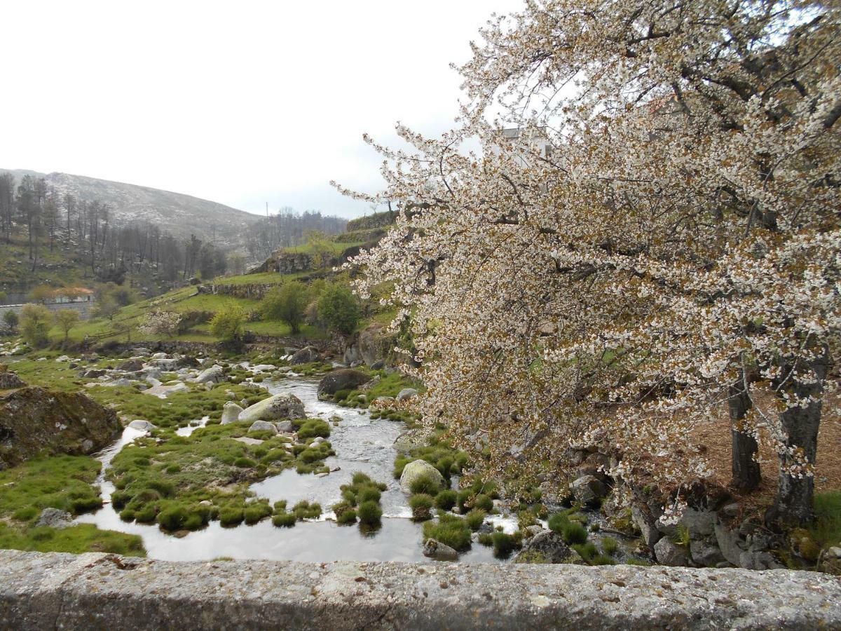 사부게이루 Casa Da Avo Teresinha 빌라 외부 사진